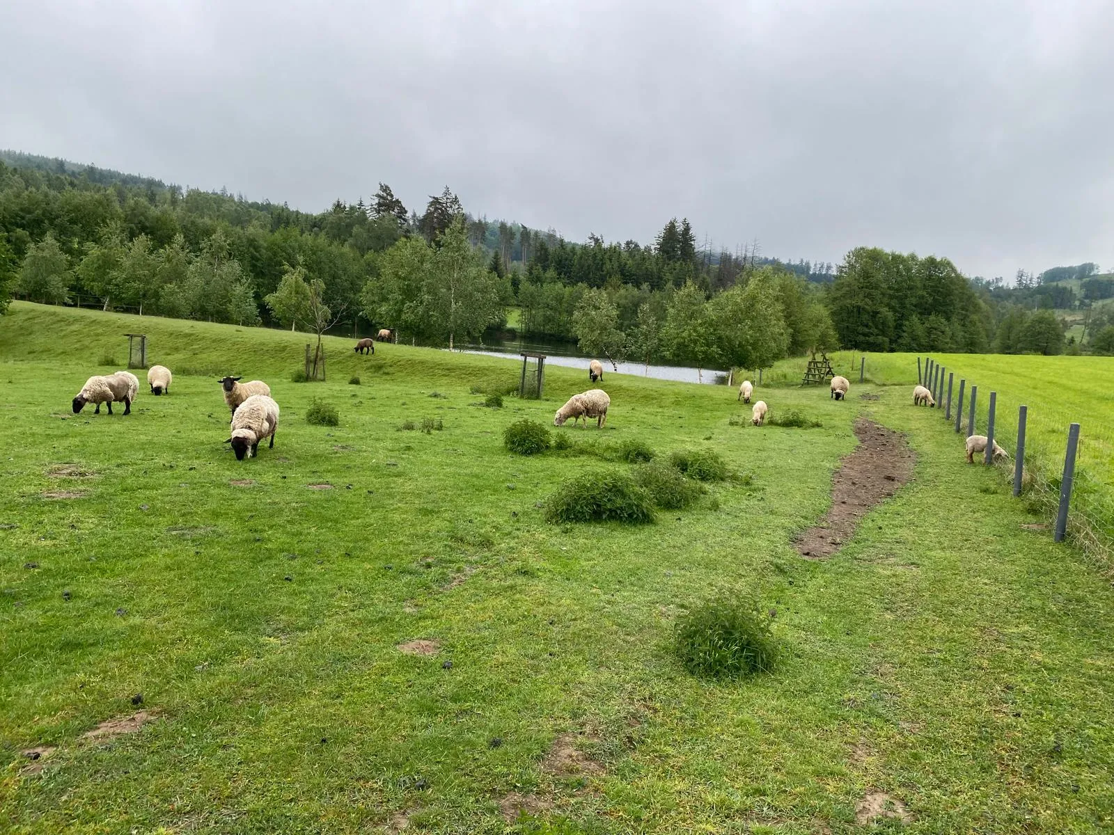 Ubytování u rybníků